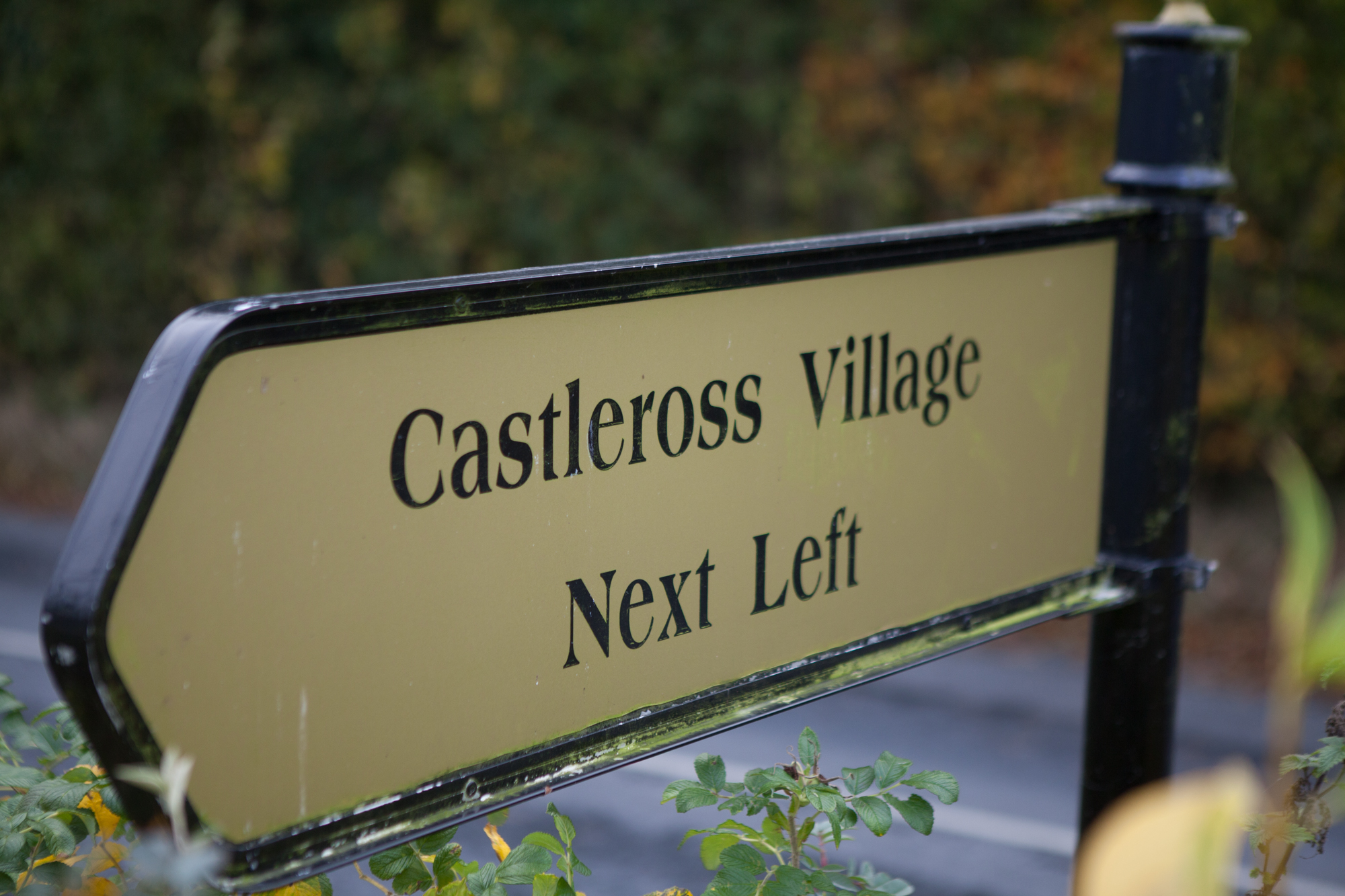 directional post Castleross